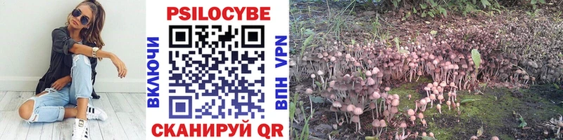 Псилоцибиновые грибы GOLDEN TEACHER Ужур